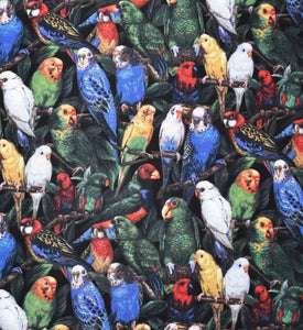 Multicolored Parrots Mask