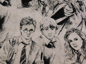 Lanyards - Harry Potter Collection