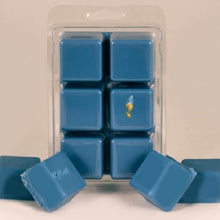 Load image into Gallery viewer, Juniper Berry Soy Wax Tart