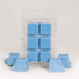 MOUNTAIN AIR - THE BASICS SOY WAX TART